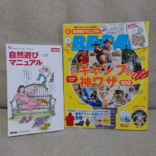 ショウガクカン(小学館)のビーパル 2018年5月号(アート/エンタメ/ホビー)