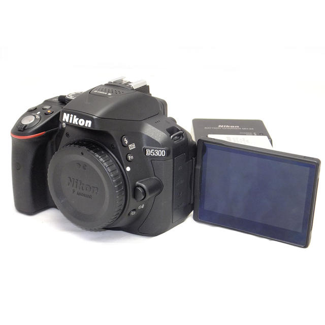 Nikon D5300 ショット数669