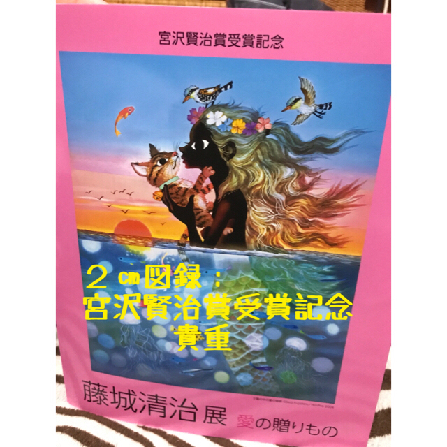 藤城清治展「愛の贈り物」図録[宮沢賢治賞受賞記念]ファンの方必見✨値下げしました エンタメ/ホビーの本(アート/エンタメ)の商品写真