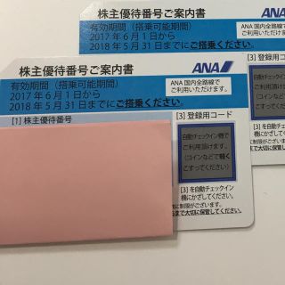 エーエヌエー(ゼンニッポンクウユ)(ANA(全日本空輸))のmegumi様専用 ANA 株主優待券 2枚(その他)