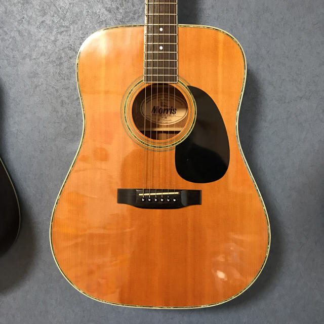モーリス w30 タカミネピックアップ付き