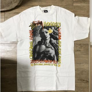 [入手困難] stussy ヴィーナス Tシャツ /Lサイズ