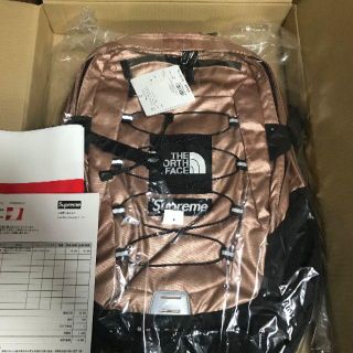 シュプリーム(Supreme)の新品/Supreme The North Face /バックパック/ローズ(バッグパック/リュック)