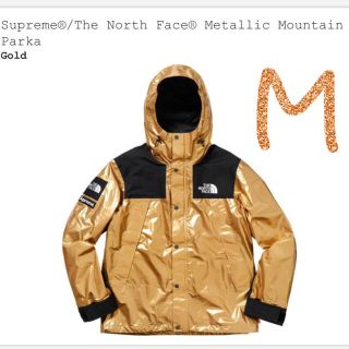 シュプリーム(Supreme)の金 M supreme north face mountain parka(マウンテンパーカー)