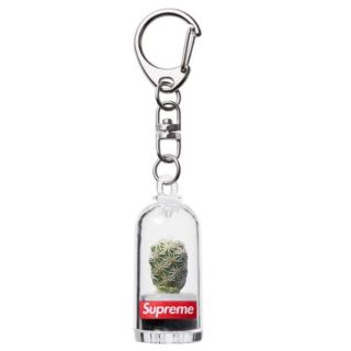 supreme Cactus Keychain サボテン キーホルダー supreme Cactus Keychain サボテン キーホルダー
