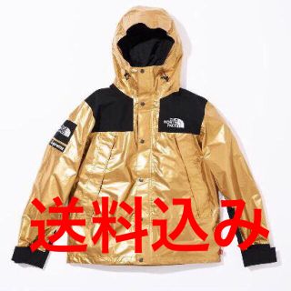 シュプリーム(Supreme)のM Supreme x TheNorthFace Mountain Parka (マウンテンパーカー)