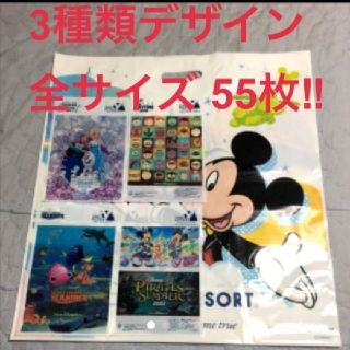 ディズニー(Disney)の【全サイズ 55枚！3種類】ディズニー　ショップ袋(ショップ袋)