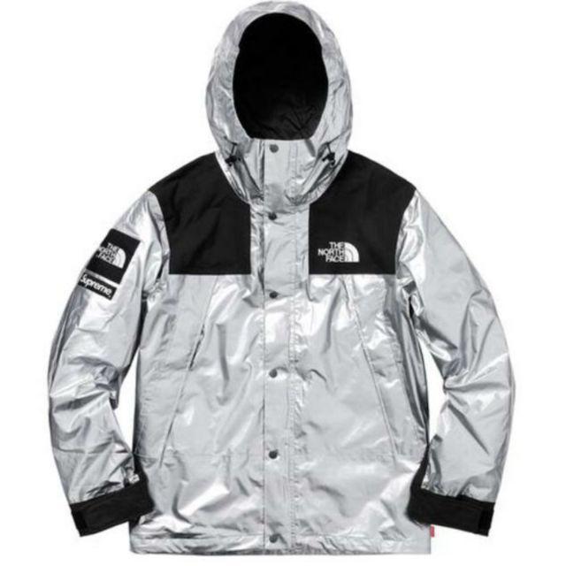 L Supreme The North Face Mountain Parka