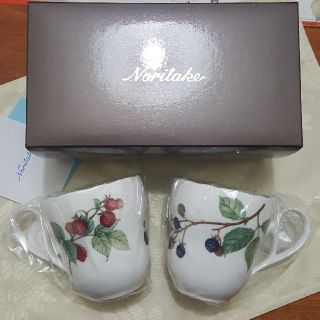 ノリタケ(Noritake)の【moma様売約済】オーチャードガーデン マグペアセット(グラス/カップ)