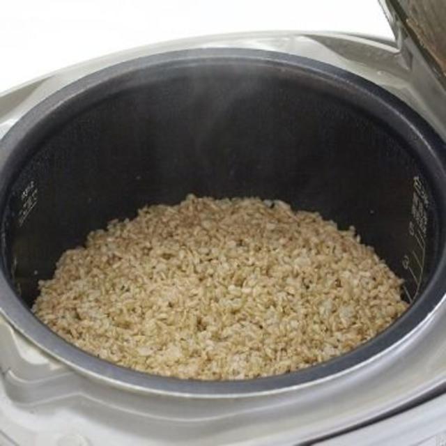 やわらか若玄米 富山県産 1袋(1kg)×10セット 数量限定健康ダイエット美容