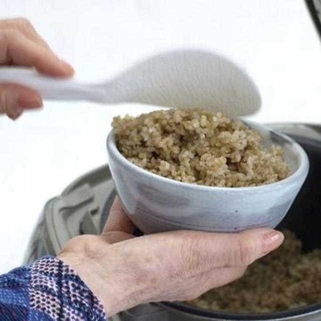 やわらか若玄米 富山県産 1袋(1kg)×10セット 数量限定健康ダイエット美容