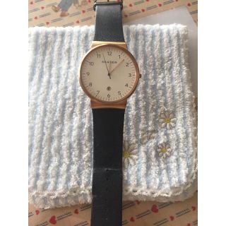 スカーゲン(SKAGEN)のスカーゲン SKW9012(腕時計)