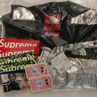 シュプリーム(Supreme)のsupreme TNF metallic mountain parka(マウンテンパーカー)