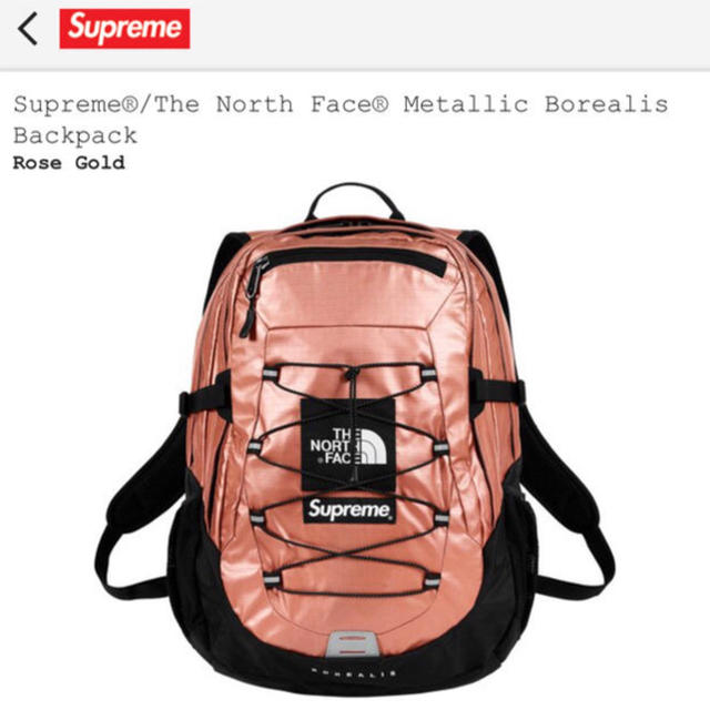 バッグパック/リュックSupreme the north face