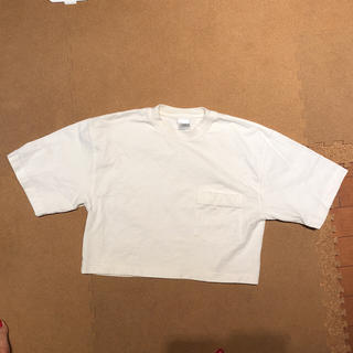 サンタモニカ(Santa Monica)のジャンティーク購入 ショートＴシャツ(Tシャツ(半袖/袖なし))
