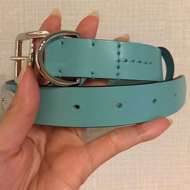 海外限定】 no.kidding.0323様専用 TIFFANYティファニーブルー首輪XS