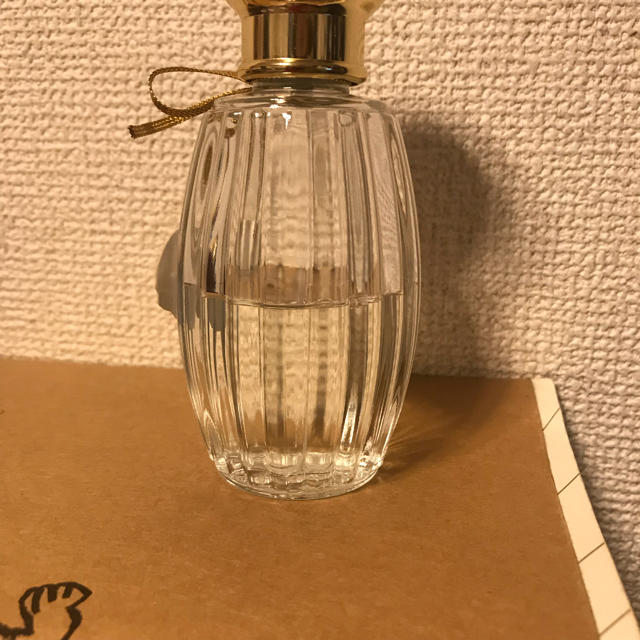 Annick Goutal(アニックグタール)のアニックグタール 100ml 残量約半分！ コスメ/美容の香水(香水(女性用))の商品写真