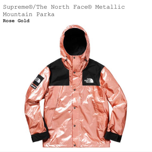 Supreme(シュプリーム)のL) SUPREME TNF Metallic Mountain メンズのジャケット/アウター(マウンテンパーカー)の商品写真