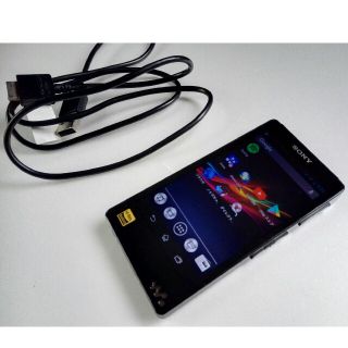 WALKMAN - SONY ウォークマン Fシリーズ NW-F885 (B) 中古美品