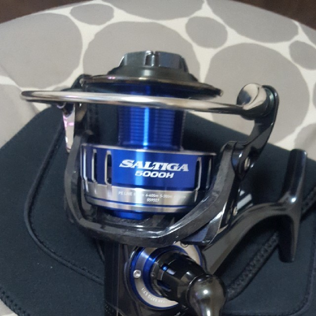即納!最大半額! DAIWA - ダイワ 15 ソルティガ5000H リール - aatsp.com.br