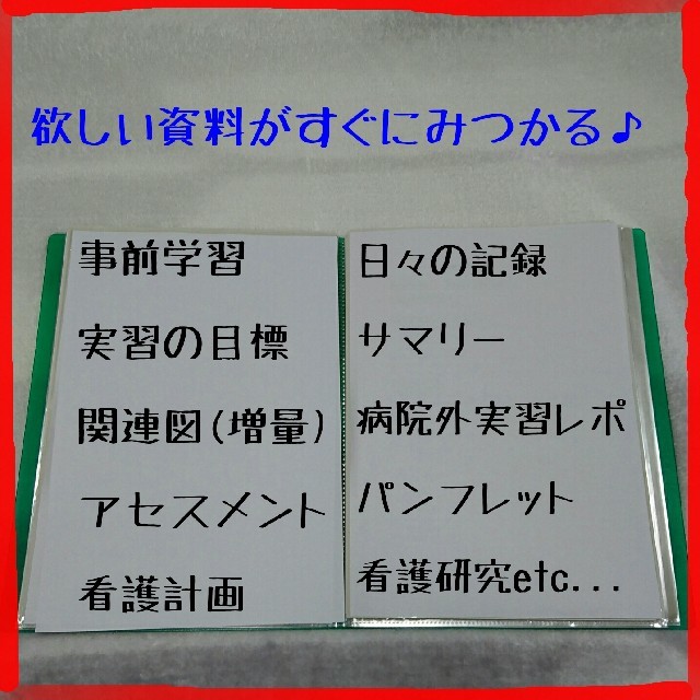 usb⛔️超増量版⛔️看護実習✨お役立ち資料(看護過程)