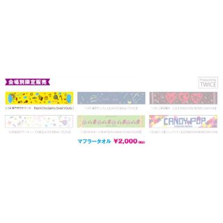 ウェストトゥワイス(Waste(twice))のTWICE マフラータオル&ラバーキーホルダーセット(アイドルグッズ)