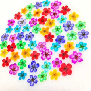 27 押し花セット✿即日発送 ♡ハンドメイド 素材 小花 レジン(その他)