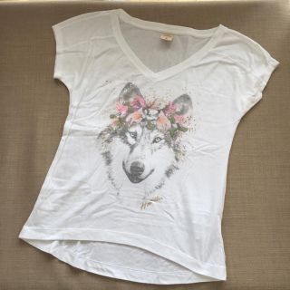 ホリスター(Hollister)の【めい様用】ホリスター♡Tシャツ(Tシャツ(半袖/袖なし))