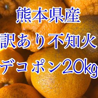 不知火 デコポン 訳あり20kg (フルーツ)