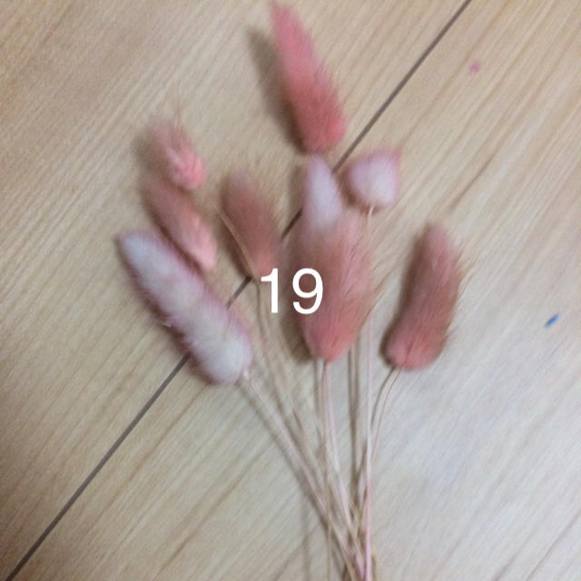 3つ選んで 19 ハンドメイドのフラワー/ガーデン(ドライフラワー)の商品写真