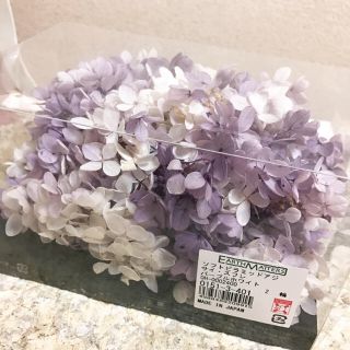 Shiro0505様専用 紫陽花 パープルホワイト&かすみ草(プリザーブドフラワー)