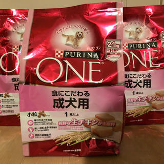 ネスレ(Nestle)の新品 ピュリナワン 食にこだわる成犬用 2.1kg×3(ペットフード)