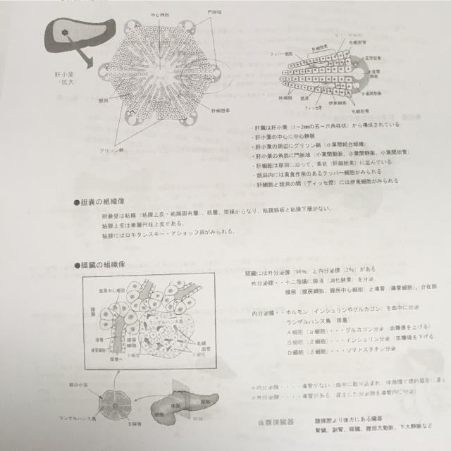 まとめ まとめノート 臨床検査技師 看護 過去問 国家試験 国試対策 解剖 生理の通販 By Abc ラクマ