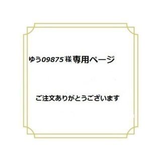 ゆう様専用＊おむつポーチ＊ラミネート＊グレーチェリー＆S(ベビーおしりふき)