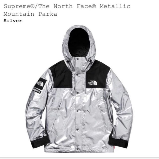 Supreme The North Face Silver Sz M