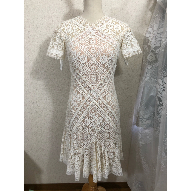 TADASHI SHOJI(タダシショウジ)の新品　Tadashi Shoji 総レース 膝丈ワンピース ドレス　ホワイト レディースのワンピース(ひざ丈ワンピース)の商品写真