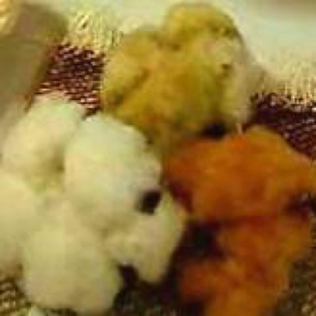 珍品 グリーンの綿の種 おまけ付き ハンドメイドのフラワー/ガーデン(リース)の商品写真