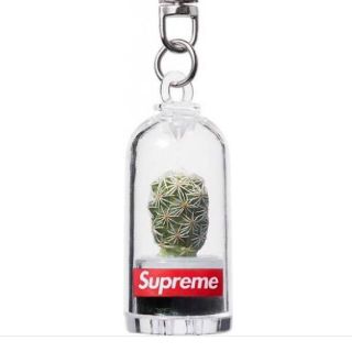 シュプリーム(Supreme)のSupreme Cactus Keychain (キーホルダー)