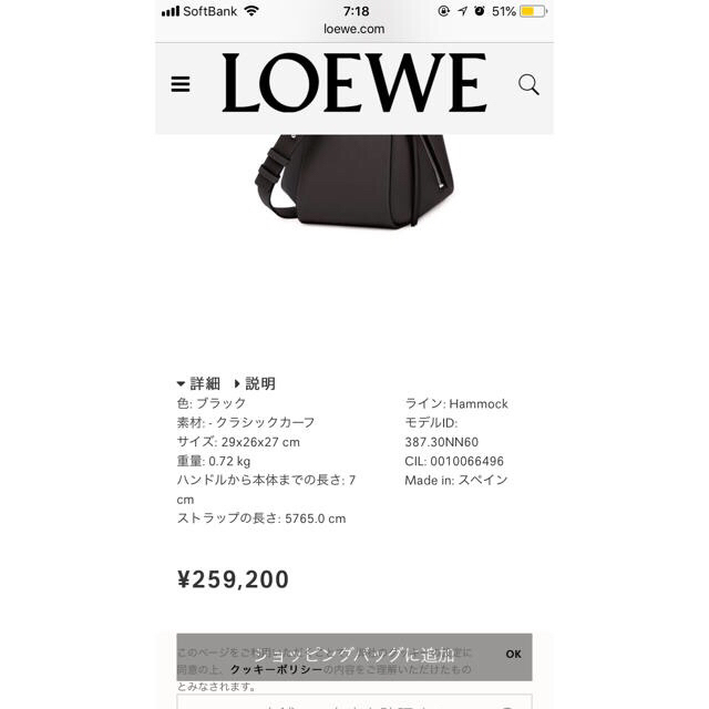 新品大得価 LOEWE - ロエベ ハンモック スモール ハンドバッグ ブラックの通販 by hiromi:)'s shop｜ロエベならラクマ 最安値人気