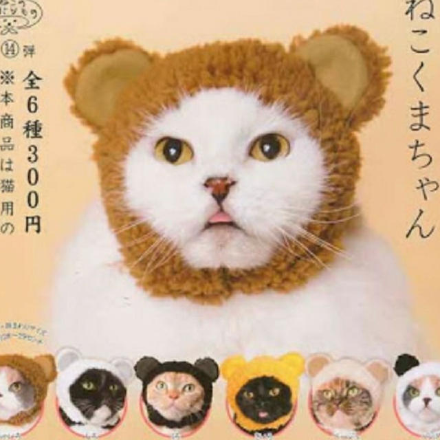 猫の被り物   (黒) その他のペット用品(猫)の商品写真