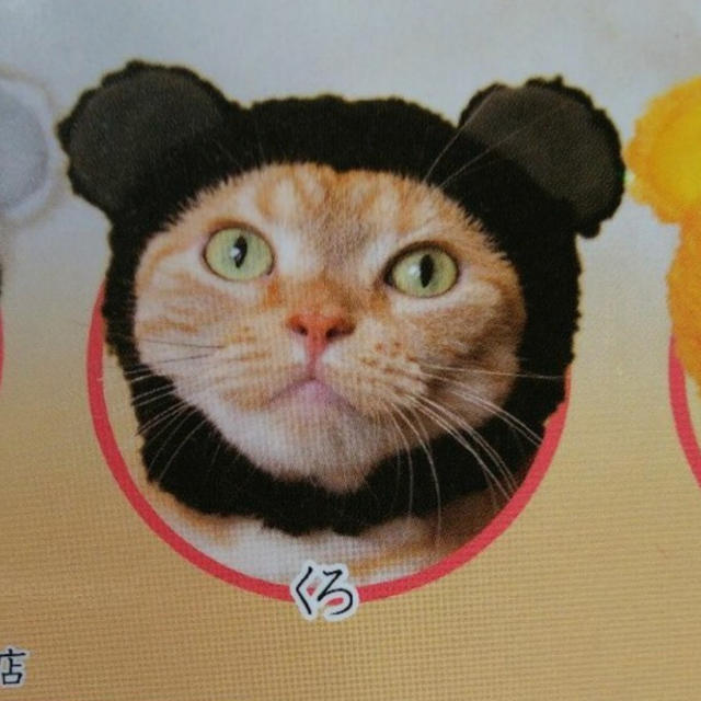 猫の被り物   (黒) その他のペット用品(猫)の商品写真