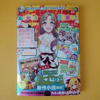 カドカワショテン(角川書店)のドラゴンマガジン 2018年3月号 30周年記念号 付録無し 送料込み(アート/エンタメ/ホビー)