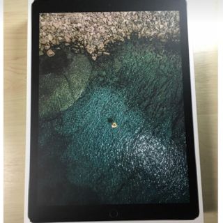 iPad Pro 12.9インチ 第2世代 トウマ様専用(タブレット)