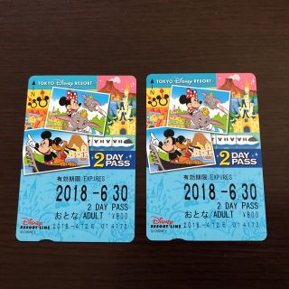 ディズニー(Disney)のディズニーリゾートライン 2dayパス 2枚セット(遊園地/テーマパーク)