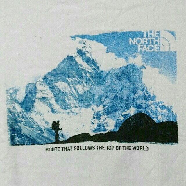 THE NORTH FACE(ザノースフェイス)のTHE NORTH FACE Tシャツ メンズのトップス(Tシャツ/カットソー(半袖/袖なし))の商品写真