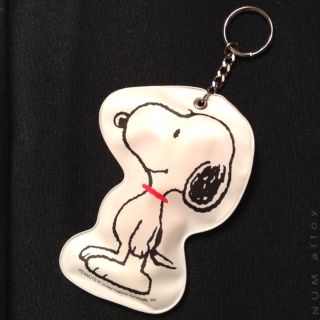 スヌーピー(SNOOPY)の☆SNOOPY☆スヌーピー コインケース+画鋲19個☆(その他)