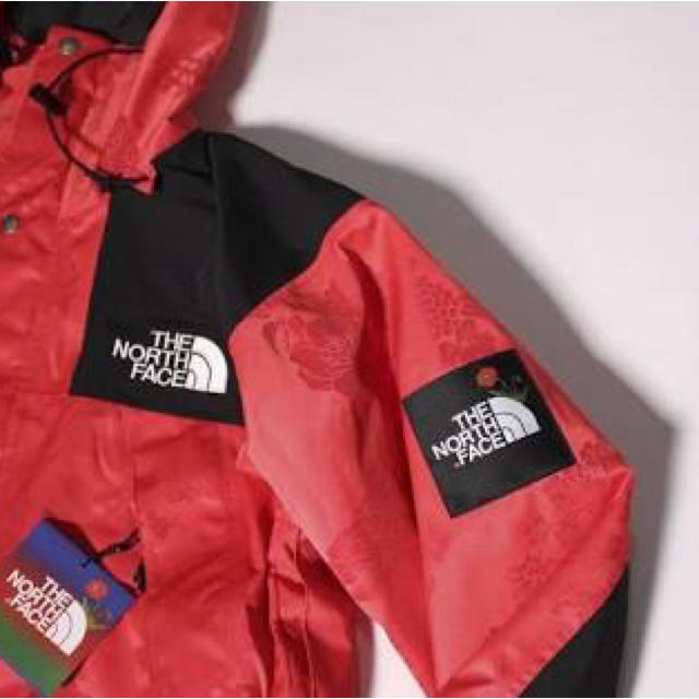 XLサイズ NORDSTROM x north face