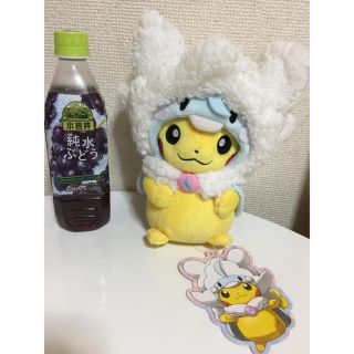 ポケモン - 着ぐるみピカチュウ 美品 ポンチョメガチルタリス の通販