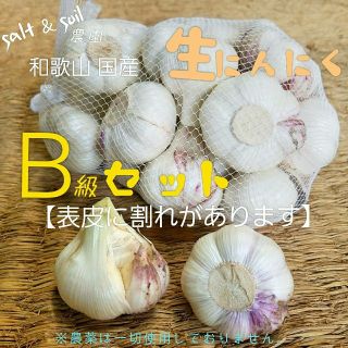 生ニンニク　割れあり品　1キロ(野菜)