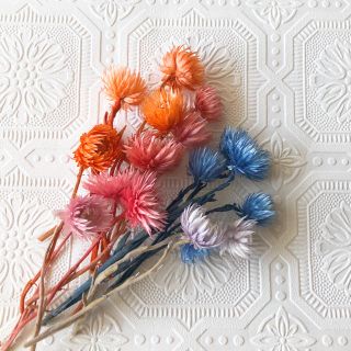 シルバーデージーセット ハーバリウム キャンドル 花材 ハンドメイド(ドライフラワー)